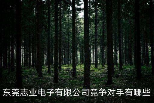 東莞志業電子有限公司競爭對手有哪些
