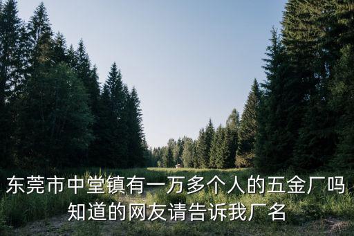 東莞市中堂鎮有一萬多個人的五金廠嗎知道的網友請告訴我廠名