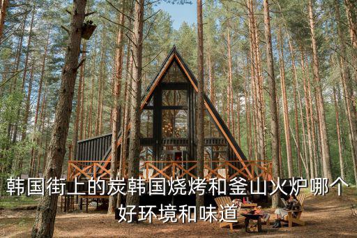 韓國街上的炭韓國燒烤和釜山火爐哪個好環境和味道