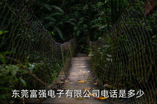 東莞富強電子有限公司電話是多少