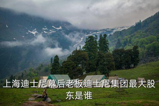 上海申迪集團(tuán)，上海申迪集團(tuán)是雙休嗎