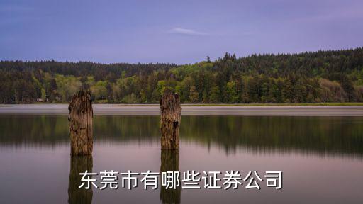 東莞黃江證券公司，東莞證券黃江營(yíng)業(yè)部 東莞證券經(jīng)紀(jì)人 東莞股票開戶