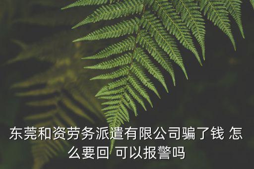 東莞和資勞務派遣有限公司騙了錢 怎么要回 可以報警嗎