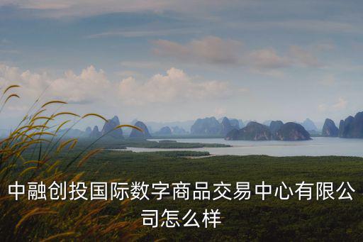 中融創投國際數字商品交易中心有限公司怎么樣