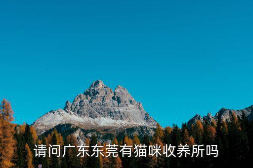 請問廣東東莞有貓咪收養所嗎