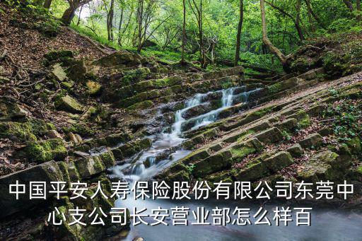 東莞康楊企業(yè)，電動(dòng)輪椅哪里有賣