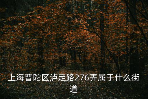 上海普陀區瀘定路276弄屬于什么街道