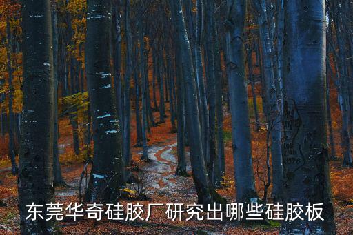 東莞市華奇密封，東莞華奇密封件的單層真空吸盤(pán)與雙層真空吸盤(pán)區(qū)別在哪