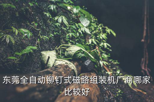 東莞全自動鉚釘式磁路組裝機(jī)廠商哪家比較好