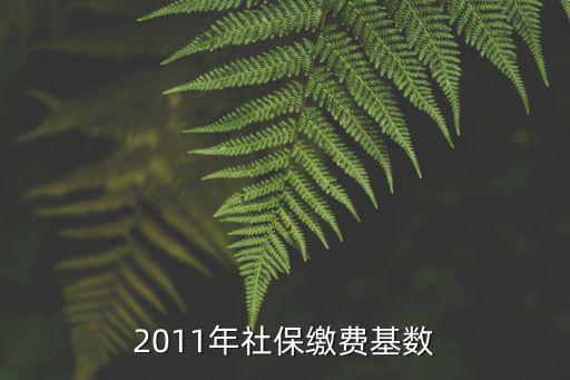 2011東莞社保繳費(fèi)基數(shù)，2011年?yáng)|莞社保最新繳費(fèi)工資標(biāo)準(zhǔn)是多少