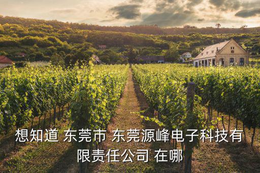 想知道 東莞市 東莞源峰電子科技有限責任公司 在哪