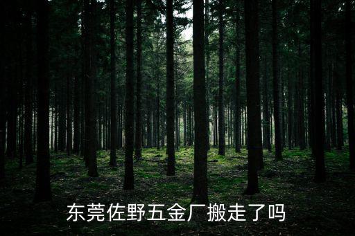 東莞佐野五金廠搬走了嗎