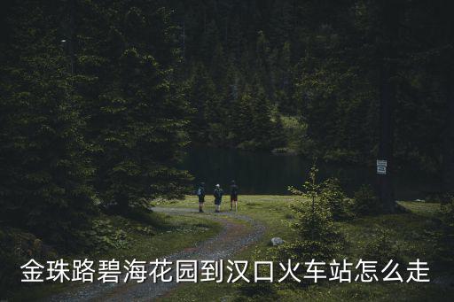 金珠路碧海花園到漢口火車站怎么走