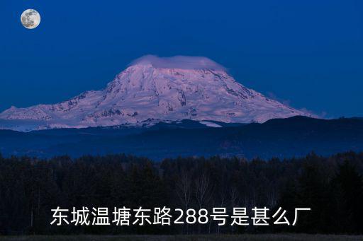 東城溫塘東路288號(hào)是甚么廠