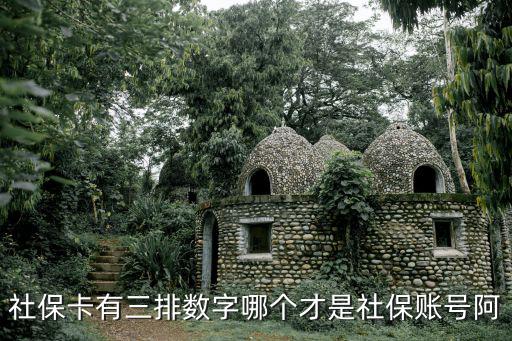 社保卡有三排數字哪個才是社保賬號阿