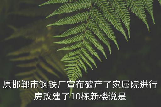 原邯鄲市鋼鐵廠宣布破產(chǎn)了家屬院進(jìn)行房改建了10棟新樓說(shuō)是