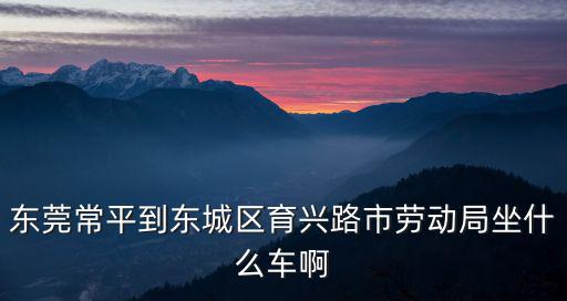 東莞常平到東城區(qū)育興路市勞動局坐什么車啊