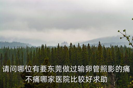 請問哪位有要東莞做過輸卵管照影的痛不痛哪家醫(yī)院比較好求助
