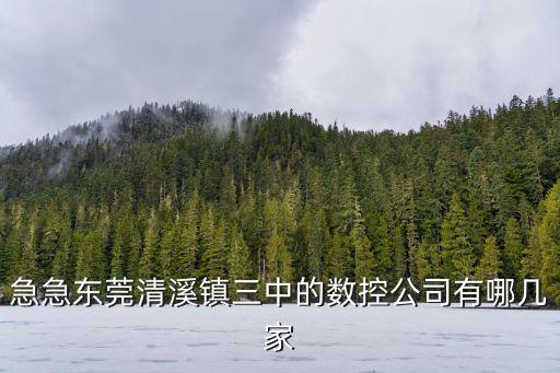 急急東莞清溪鎮(zhèn)三中的數(shù)控公司有哪幾家