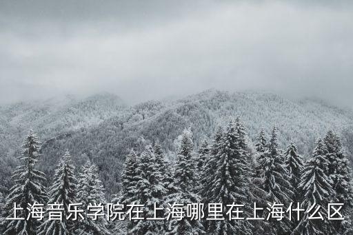 上海音樂學院在上海哪里在上海什么區(qū)