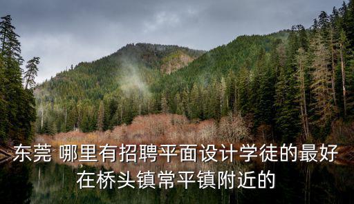 東莞 哪里有招聘平面設(shè)計學(xué)徒的最好在橋頭鎮(zhèn)常平鎮(zhèn)附近的