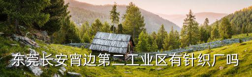 東莞市炬新針織有限公司，東莞長安宵邊第二工業區有針織廠嗎