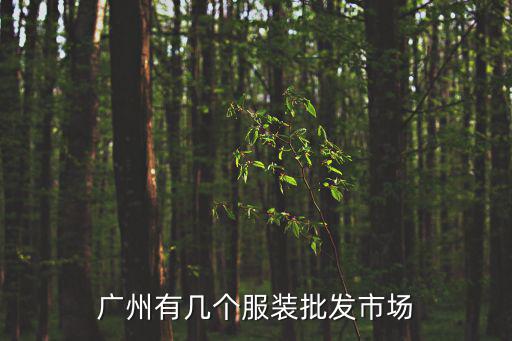 廣州有幾個服裝批發(fā)市場