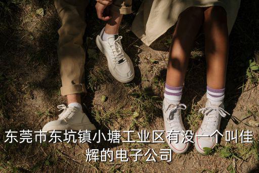 東莞市東坑鎮小塘工業區有沒一個叫佳輝的電子公司