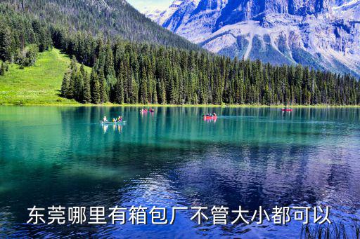 東莞哪里有箱包廠不管大小都可以