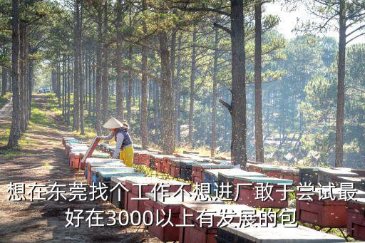 想在東莞找個工作不想進廠敢于嘗試最好在3000以上有發展的包