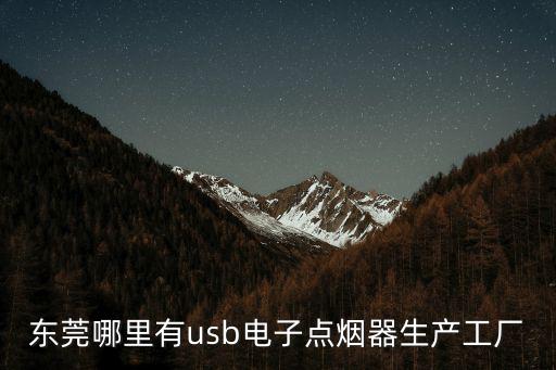 東莞哪里有usb電子點(diǎn)煙器生產(chǎn)工廠