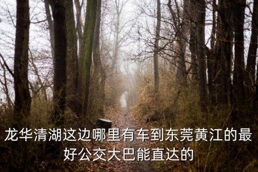 龍華清湖這邊哪里有車到東莞黃江的最好公交大巴能直達的