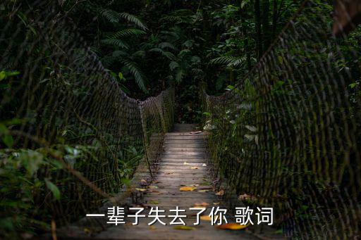 一輩子失去了你 歌詞