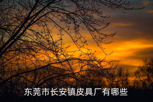 東莞市長(zhǎng)安鎮(zhèn)皮具廠有哪些