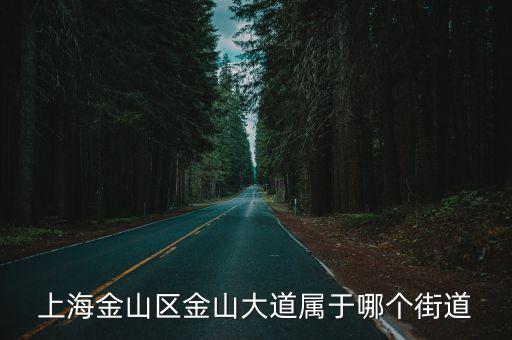 上海金山區(qū)金山大道屬于哪個街道