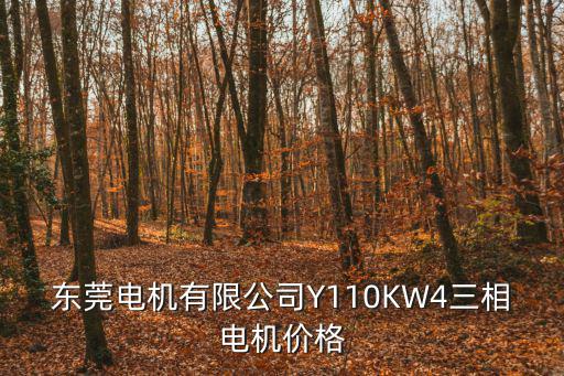 東莞市宇鴻微電機(jī)公司，東莞瀨新村的廣瀨電機(jī)公司怎么樣