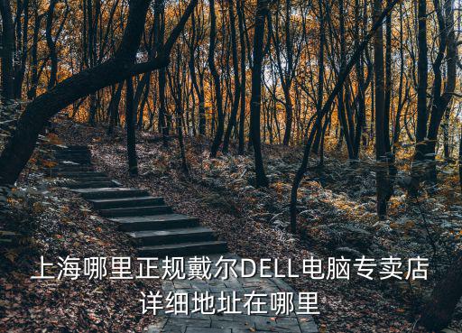 上海dell，上海哪里正規(guī)戴爾DELL電腦專賣店詳細(xì)地址在哪里