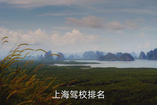 上海駕校排名
