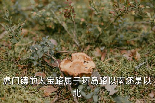 虎門鎮(zhèn)的太寶路屬于環(huán)島路以南還是以北