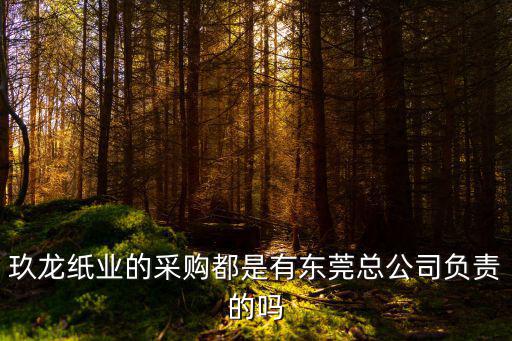 玖龍紙業(yè)的采購(gòu)都是有東莞總公司負(fù)責(zé)的嗎