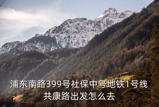 浦東南路399號社保中號地鐵1號線共康路出發(fā)怎么去