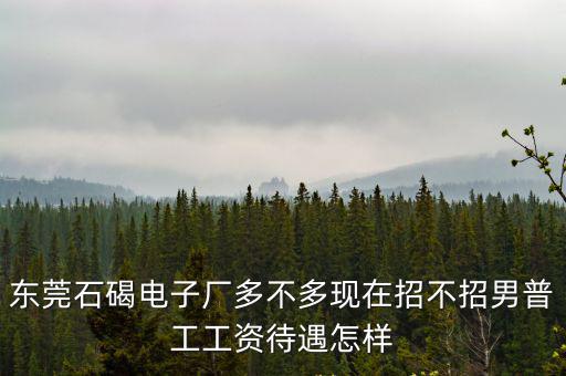 東莞石碣電子廠多不多現(xiàn)在招不招男普工工資待遇怎樣
