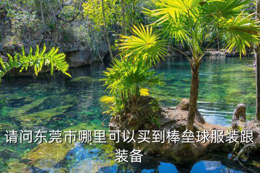 請問東莞市哪里可以買到棒壘球服裝跟裝備