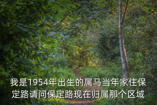保定路，上海保定路屬于哪個區
