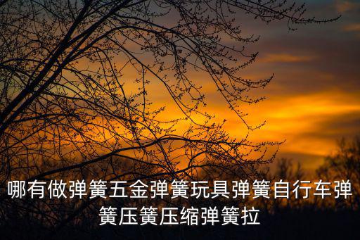 東莞市彩龍五金彈簧制造有限公司，哪有做彈簧五金彈簧玩具彈簧自行車彈簧壓簧壓縮彈簧拉