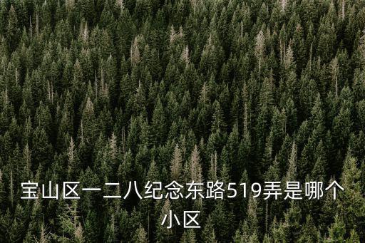 寶山區一二八紀念東路519弄是哪個小區