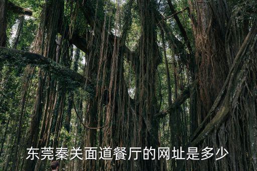 東莞秦關面道餐廳的網址是多少