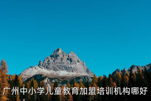 廣州中小學兒童教育加盟培訓機構哪好