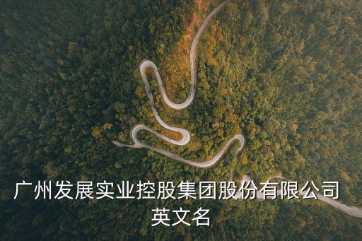 廣州發展實業控股集團股份有限公司 英文名