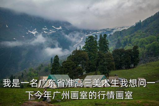 我是一名廣東省準(zhǔn)高三美術(shù)生我想問(wèn)一下今年廣州畫(huà)室的行情畫(huà)室